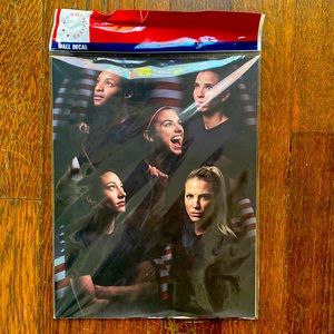 USWNT 2019 soccer team players wall decal sticker Heath Ertz Press Dunn Morgan